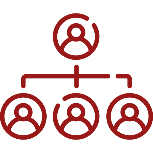 Organograma e Estrutura