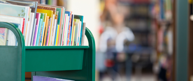 Prefeitura gasta mais de 180 mil reais em compra de livros paradidáticos distribuídos gratuitamente por programa do MEC